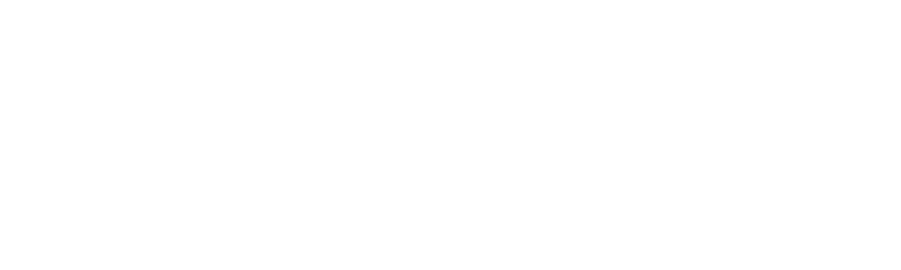 plan4flow logo